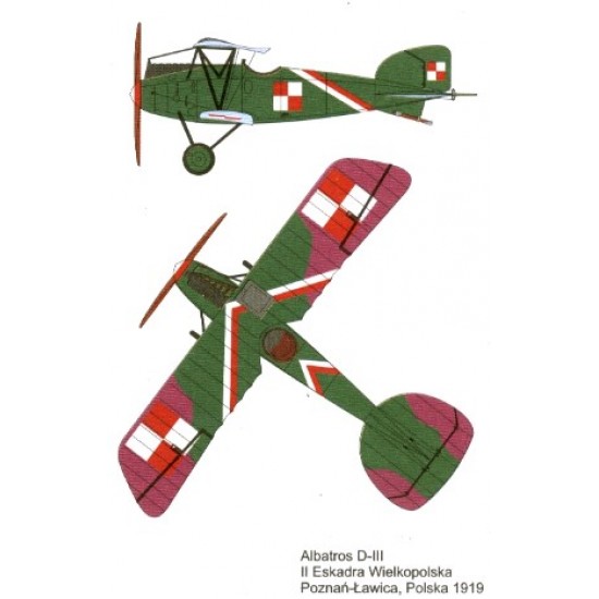 Albatros D-III (Polski)